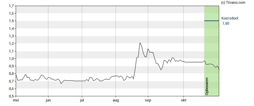 Grafiek Belysse Group