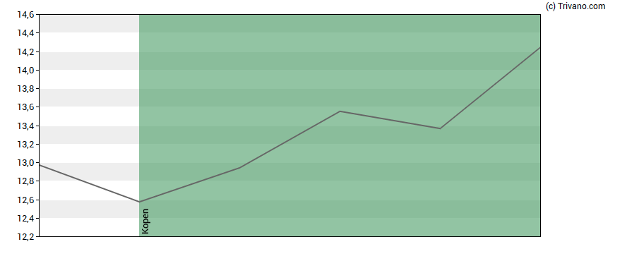 Grafiek The Magnum Ice Cream Company