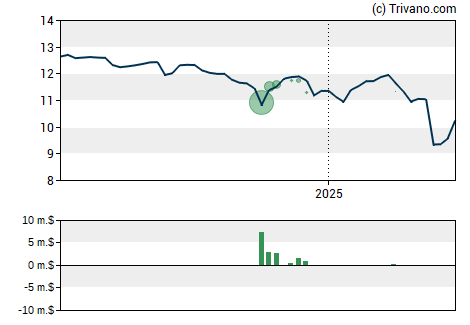 Grafiek New Mountain Finance Corporation